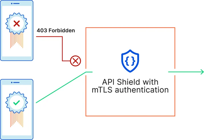 Introducing API Shield Embedded Image - CNEgCI