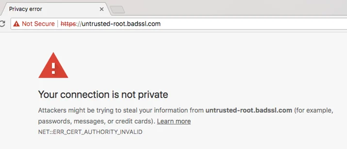 Example of what the page would look like with a bad certificate