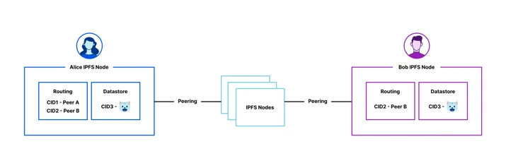 Bob has retrieved ? from Alice. They now announce to the IPFS network that they are providing it.
