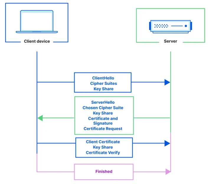 The mTLS authentication process